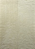 Quilted Maple